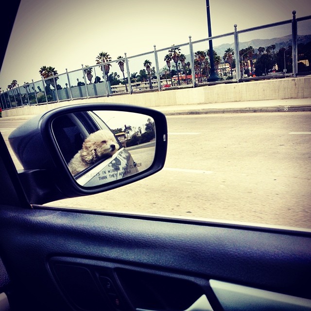 - from Instagram