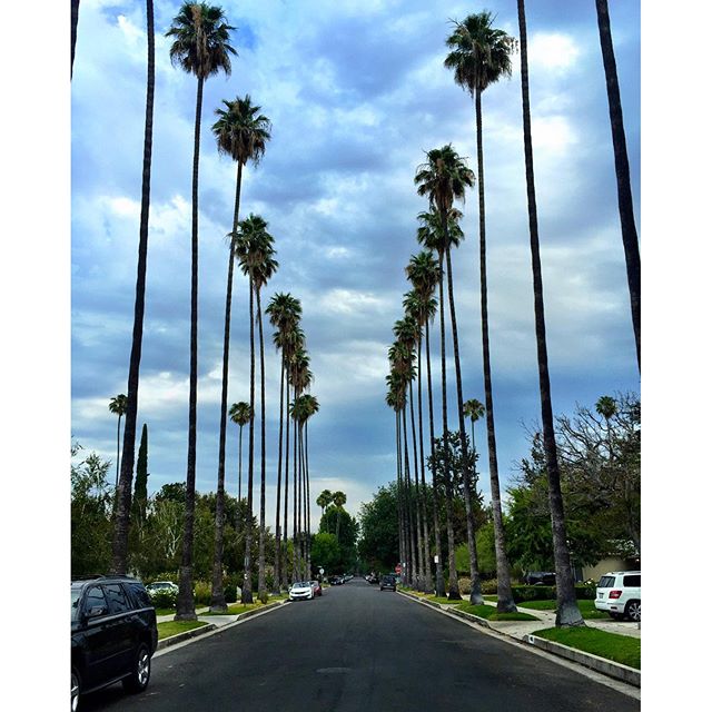 when the little things actually feel like bigger things, but really we're all just little things - from Instagram