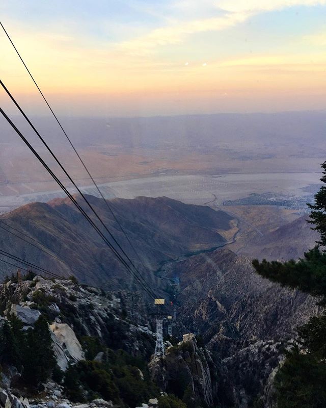 got highhhhh in #palmsprings today - from Instagram