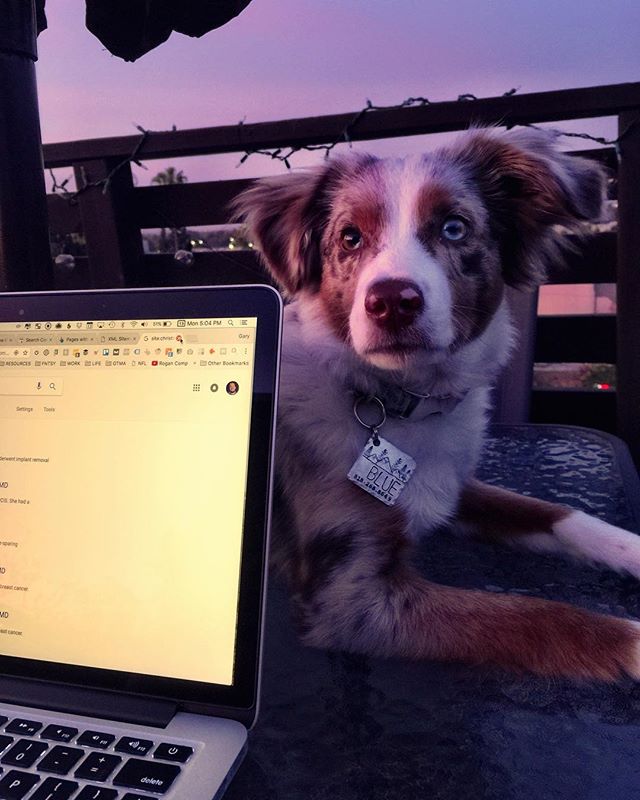 my co-worker, #blue - from Instagram