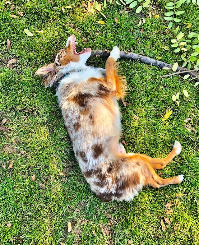 stick with it - from Instagram